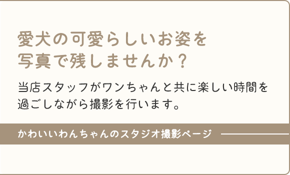 愛犬の可愛らしいお姿を写真で残しませんか？当店スタッフがワンちゃんと共に楽しい時間を過ごしながら撮影を行います。かわいいわんちゃんのスタジオ撮影ページ