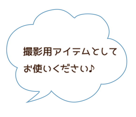 撮影用アイテムとしてお使いください♪